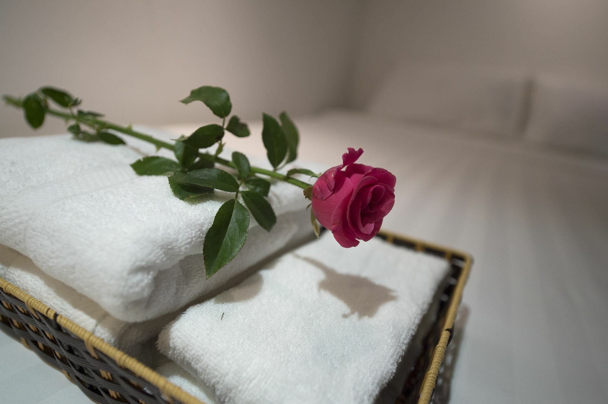 Harmony Homestay - Hanoi Homestay In Old Quarter Zewnętrze zdjęcie