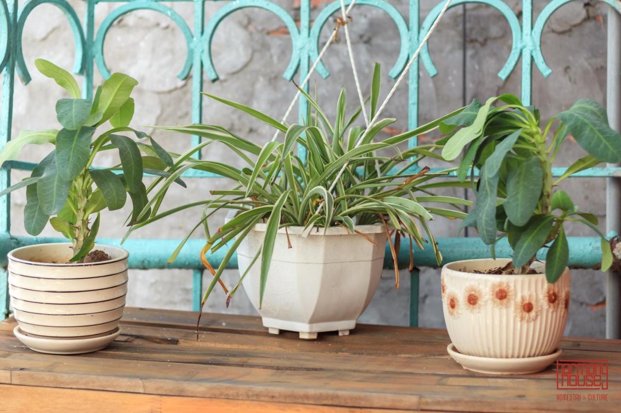 Harmony Homestay - Hanoi Homestay In Old Quarter Zewnętrze zdjęcie